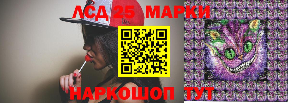 Наркотические марки  Наркотические марки 1,5мг  Вход с VPN  Заводоуковск 