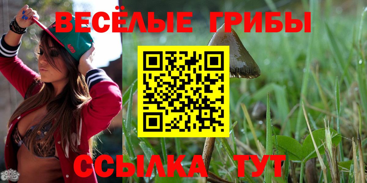 магазин продажи   Псилоцибиновые грибы Magic Shrooms  Вход с VPN  Псилоцибиновые грибы Psilocybe  Заводоуковск 